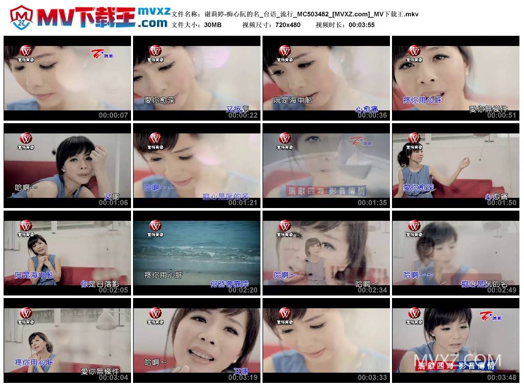 谢莉婷-痴心阮的名_台语_流行_MC503482